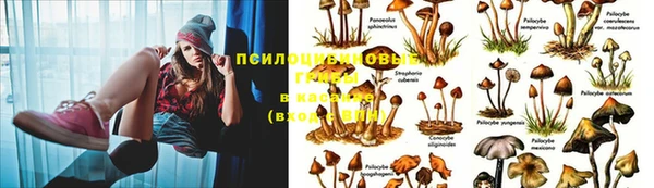 меф Вязьма