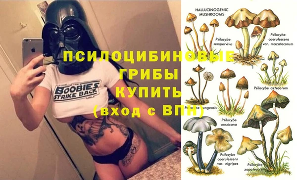 мяу мяу кристалл Вяземский