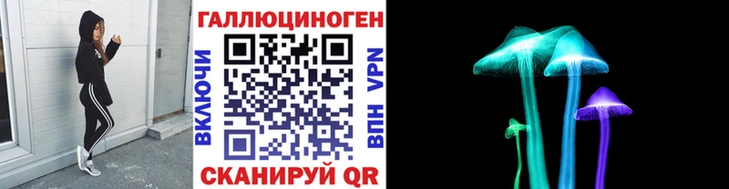 Галлюциногенные грибы Psilocybine cubensis  где найти   Владимир 